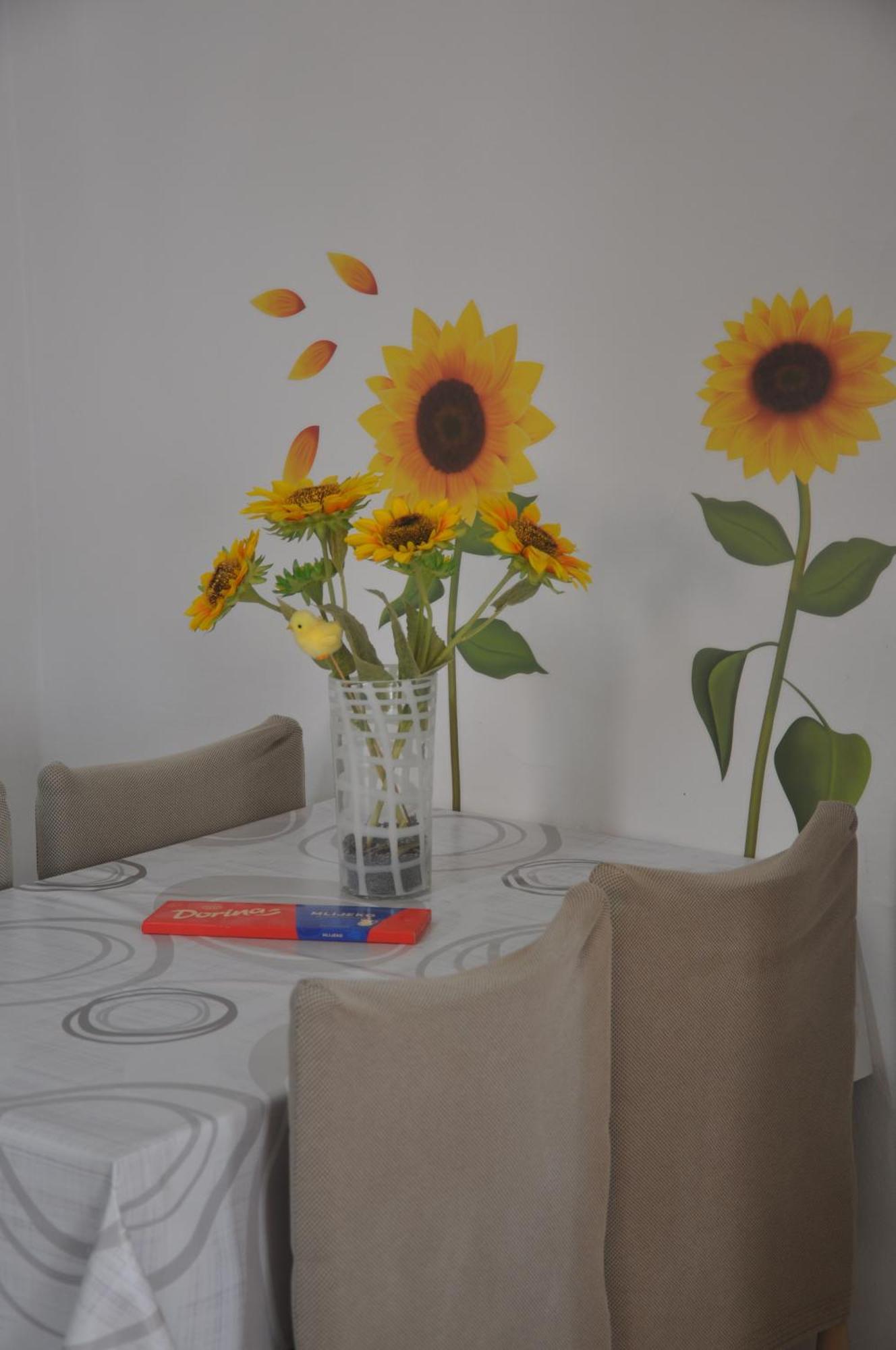Apartman Mirna โรวีน ภายนอก รูปภาพ